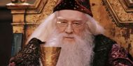 Harry Potter and the Chamber of Secrets cast